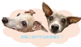 京橋ブリッジ株式会社へのお問い合わせ